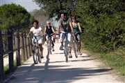 Lignano-kola