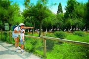 Lignano-ZOO