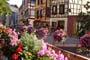 Francie - Alsasko - půvab hrázděných domů v objetí květin