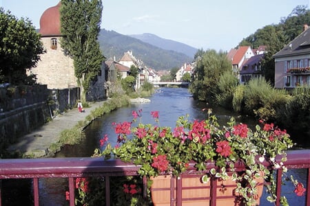 Alsasko, Schwarzwald, Vogézy, zážitky na vinné stezce a slavnost chryzanthem 2025