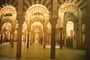 Španělsko - Andalusie - Cordoba, Velká mešita, 450 sloupů z žuly jaspisu a mramoru podpírá strop