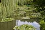 Francie -  Normandie - Giverny, Monetova zahrada kde vznikaly jeho světoznámé obrazy