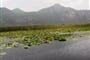 Černá Hora - Skadarské jezero