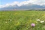 Slovensko, VysokéTatry, panoráma
