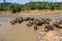 Sri Lanka - sloní sirotčinec Pinnawala