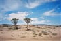 JAR_Namibie_Zimbabwe_07