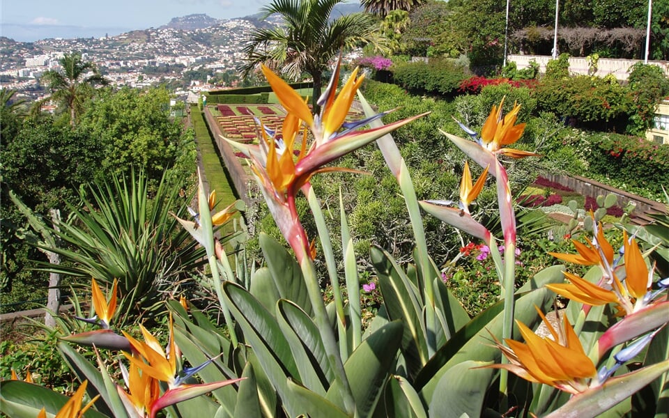Botanická zahrada Funchal