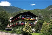 Hotel*** Alpenhof 01