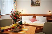 Hotel*** Alpenhof 04
