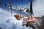 Foto - Schladming - Dachstein - Hotel Höflehnerhof ****