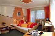 Hotel**** Alpina 06