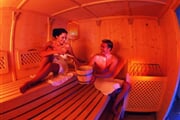 Hotel**** Alpina 10