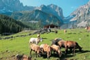 Rakousko_Wilderkaiser_2
