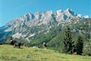 Rakousko_Wilderkaiser_3