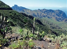 Tenerife s trekingem - turistika mezi sopkami a exotickými soutěskami