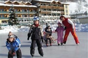 Hotel****superior Brennseehof 21