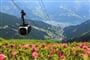 Foto - Kaprun - Zell am See - Pension Müllauer - polopenze ***