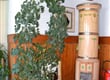 DSC 0152