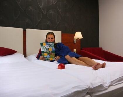 238a_Hl. budova_Pokoj_03