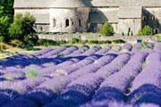 Francie_Provence_Senanque-abbey