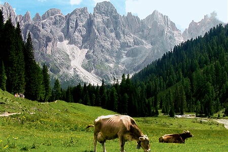 Srdce Dolomit III - Mt. Civetta, Pala di San Martino