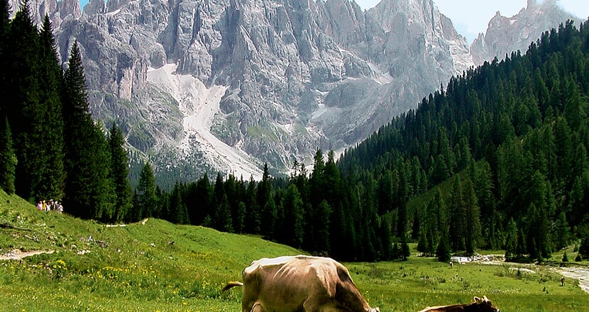 Italie_Dolomity_Val-Venegia