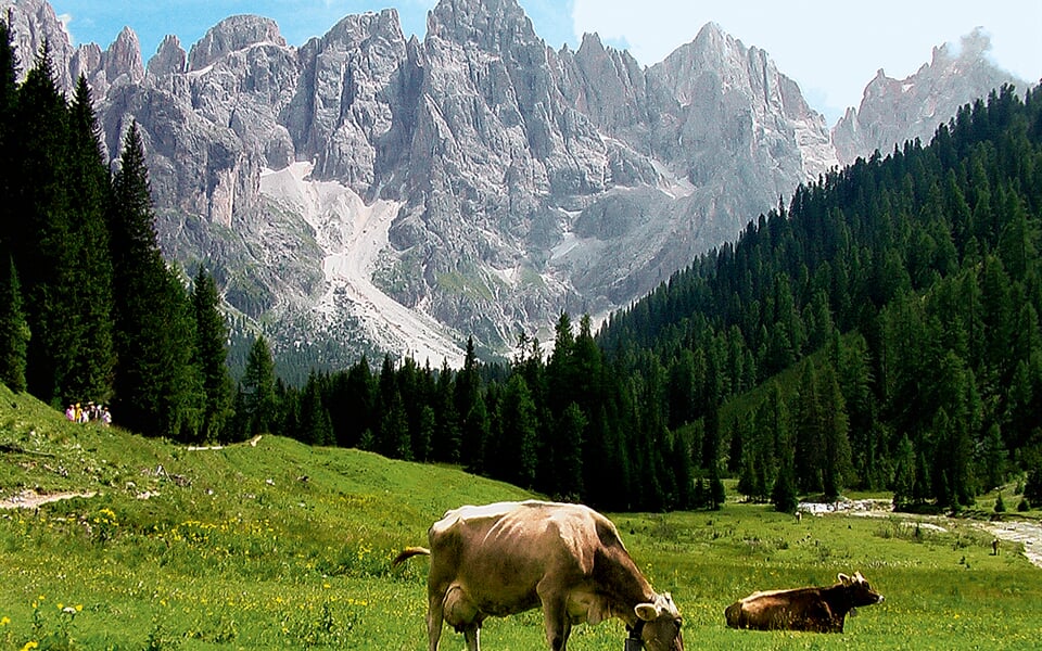 Italie_Dolomity_Val-Venegia