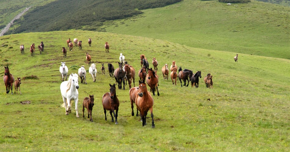 rumunsko-maramures_16467414