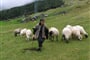 Černá Hora - Komovi - Babička s ovečkama - asi ji poznáváte, byla na titulce katalogu