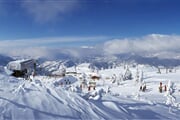 Ski Amade Wagrain 04