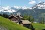Švýcarsko - krása horských luk