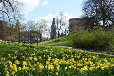 Drážďany, Míšeň, zahrady a kamélie v Pillnitz a výstava orchidejí 2026