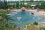 tropical islands56