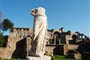 Itálie - Řím - Forum Romanum vždy zdobily krásné sochy