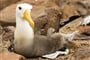 Foto - Ekvádor a Galapágy - Sopky Ekvádoru a Galapágy