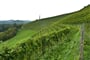 Rakousko - Štýrsko - naučná vinařská stezka Silberberg
