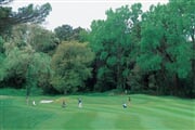 Golf Tirrenia 01