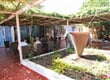 6 Pelješac - Perna - Hotel Komodor - okolí3