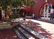9 Pelješac - Perna - Hotel Komodor - okolí7