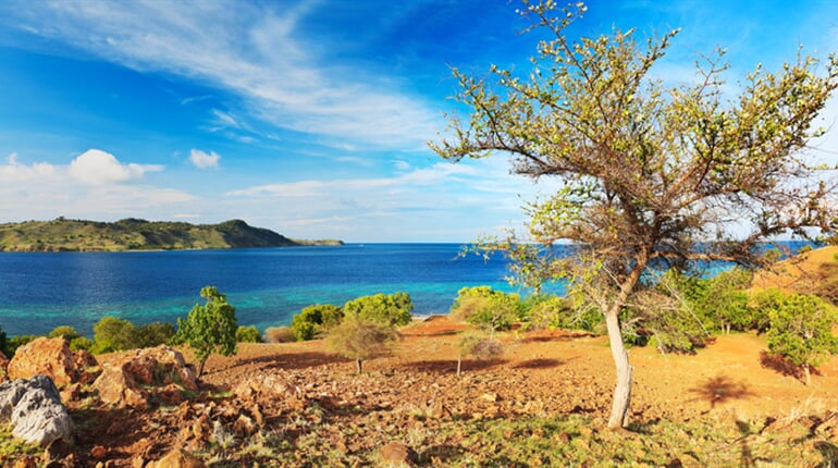 Bali-NP-Komodo-Rinca