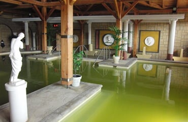 Podhájska - Penzion Energy I., Silvestr, termální bazén zdarma