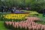 Za krásou holandských květin - Keukenhof - jarní park Evropy 5