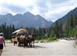 NP Vysoké Tatry - Lysá  Polana