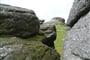 Kamenné formace v Dartmooru