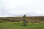 Vřesoviště v Dartmooru