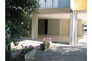 Magnolia 6