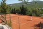 Kacjak - tenis