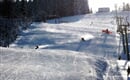 SILVESTR VILA HEDVIKA