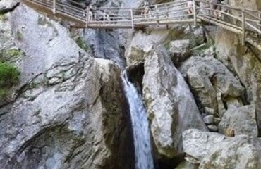 MEDVĚDÍ SOUTĚSKA (ROS)