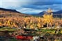 Barevný podzim - NP Ovre Dividal, údolí řeky Anjavasselva 1